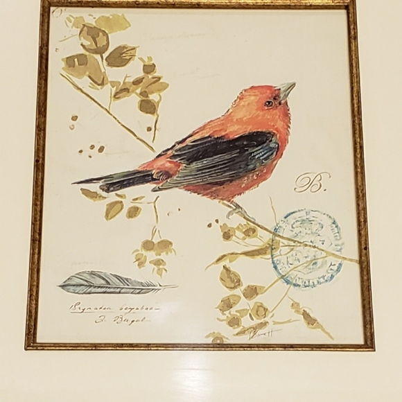 Bird picture. - Picture 7 of 9